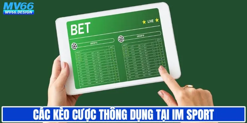 Các kèo bóng thông dụng nhất tại IM sport